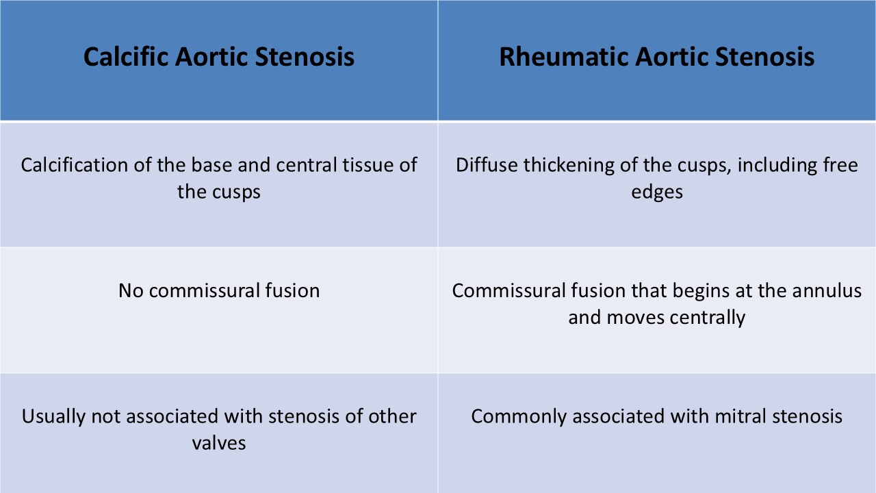 Calcified vs Rheumatic Aortic stenosis