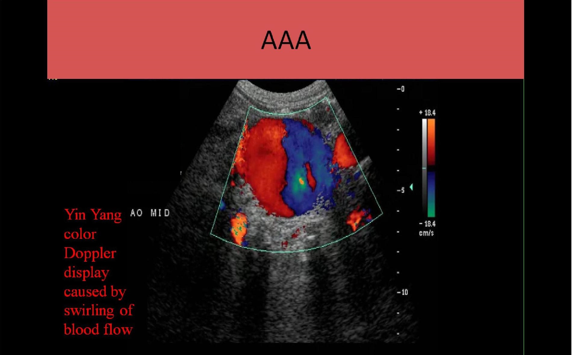 Slide Show Image 1