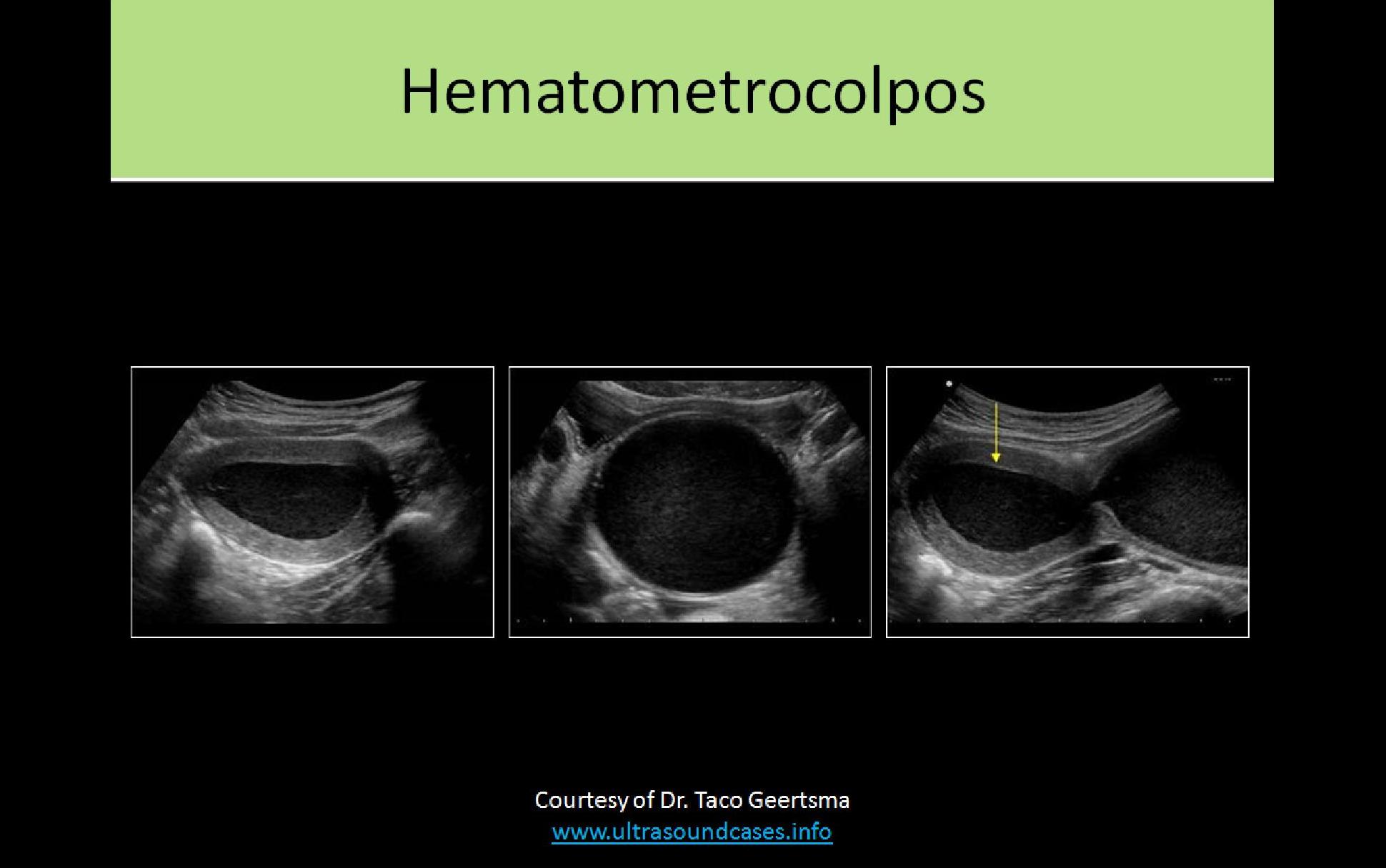 Slide Show Image 3
