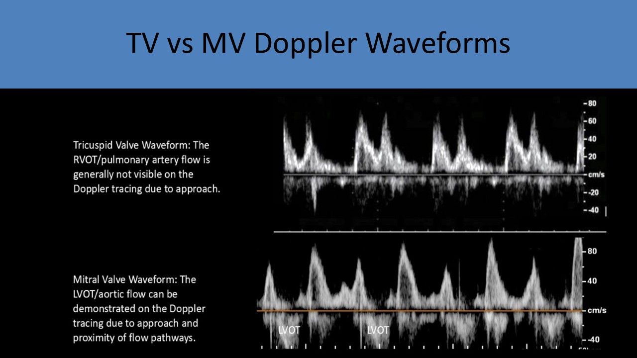 Ultrasound registry review sample image 8