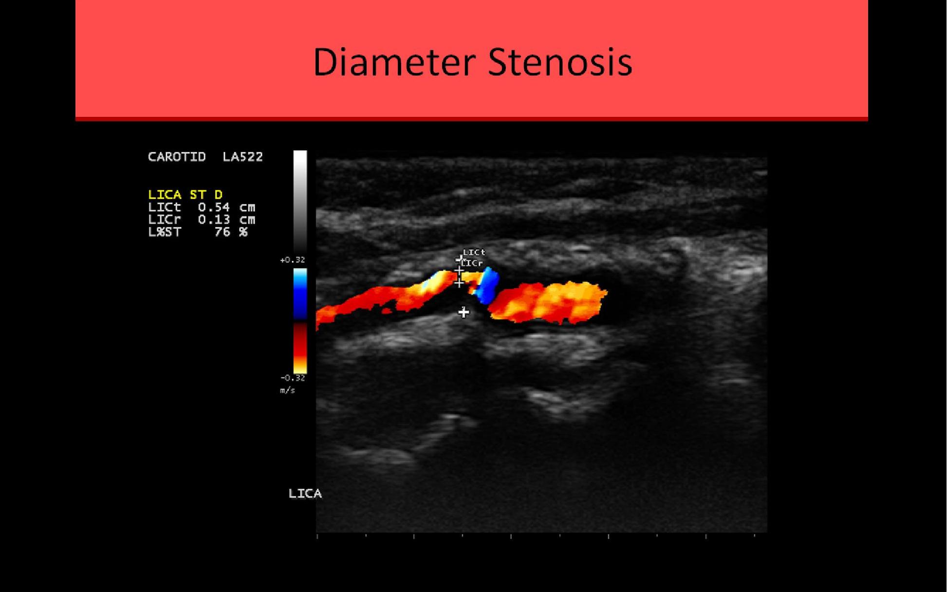 Slide Show Image 6