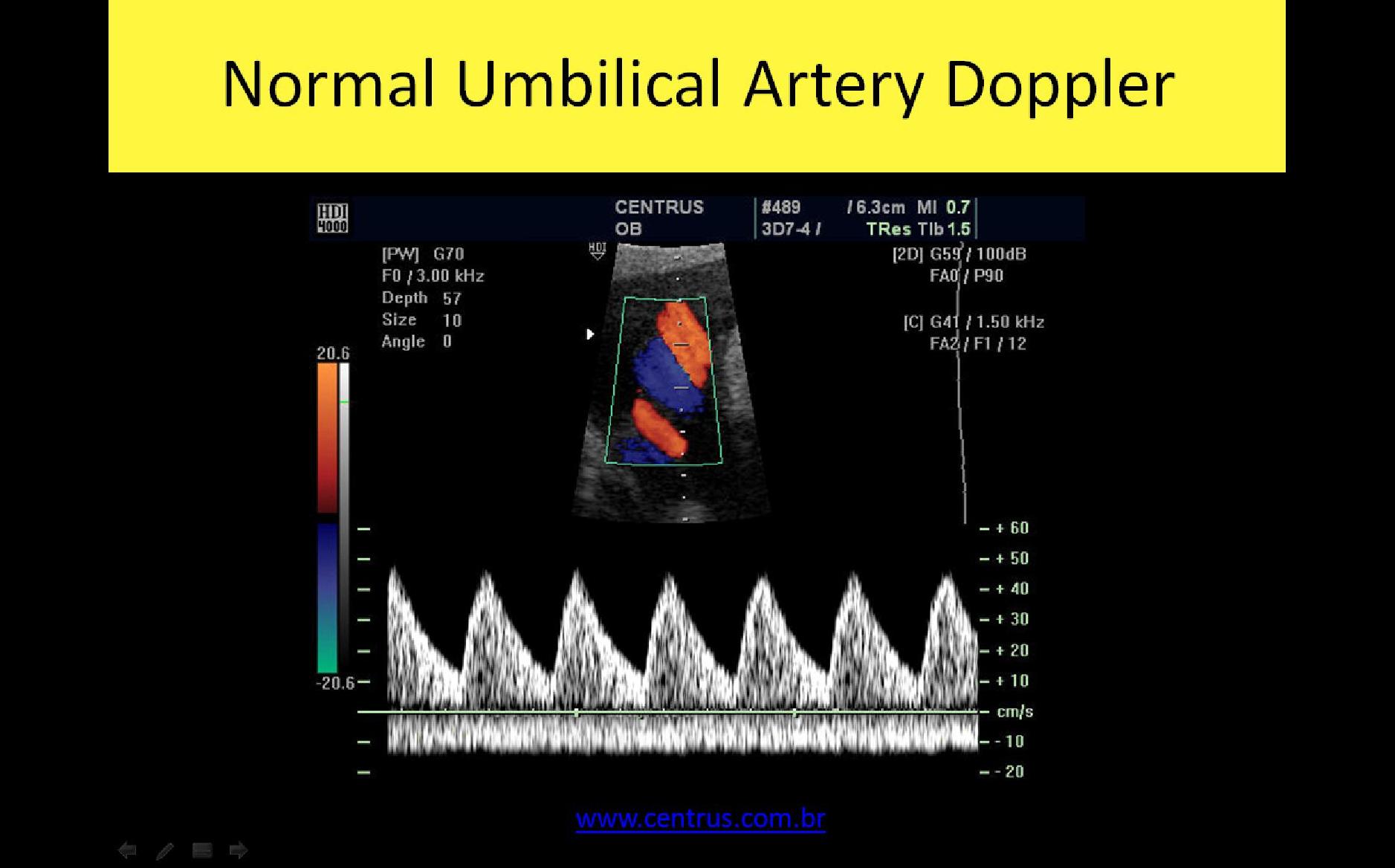 Slide Show Image 4