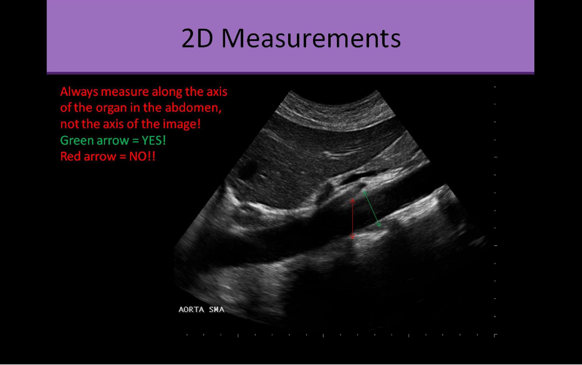 Slide Show Image 5