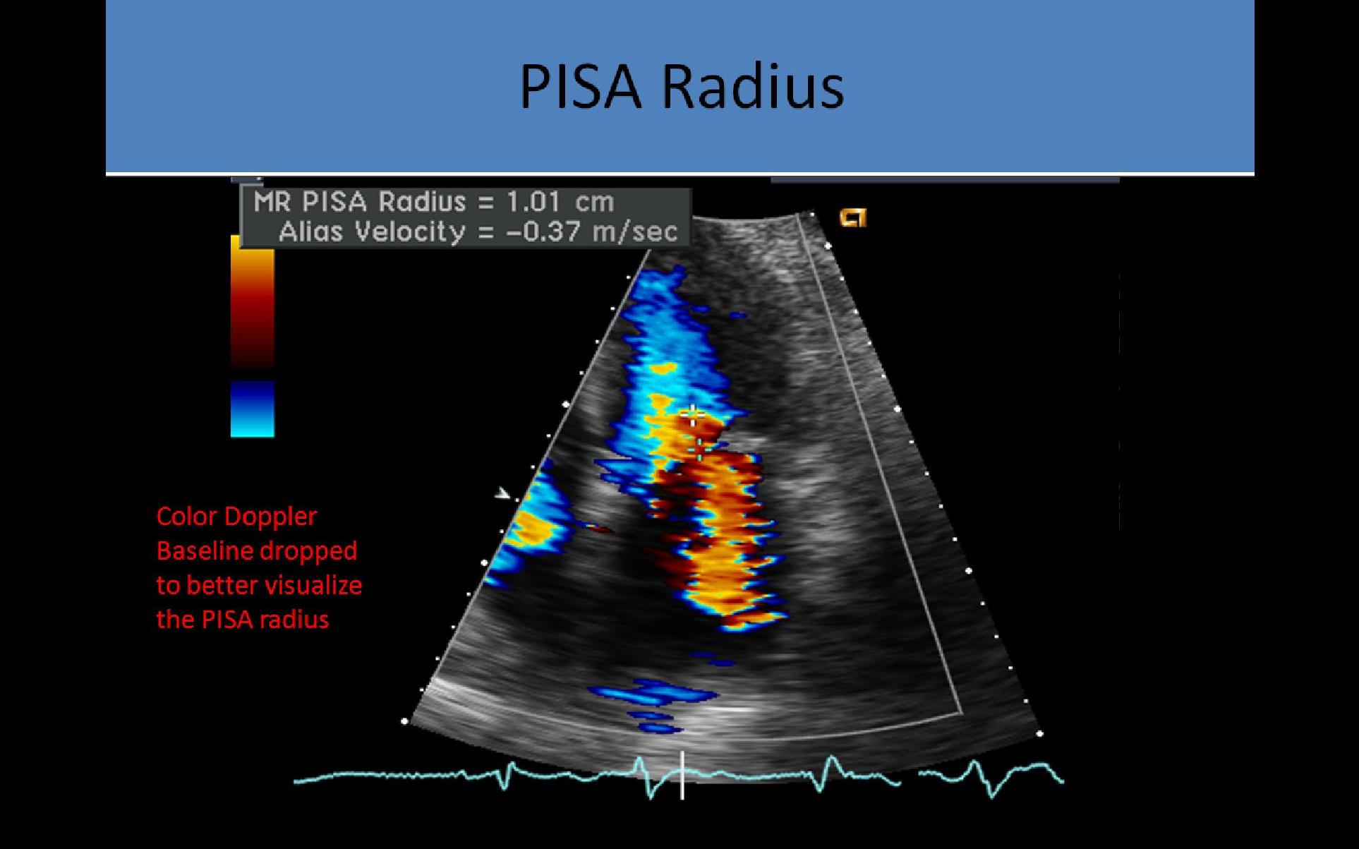 Slide Show Image 6