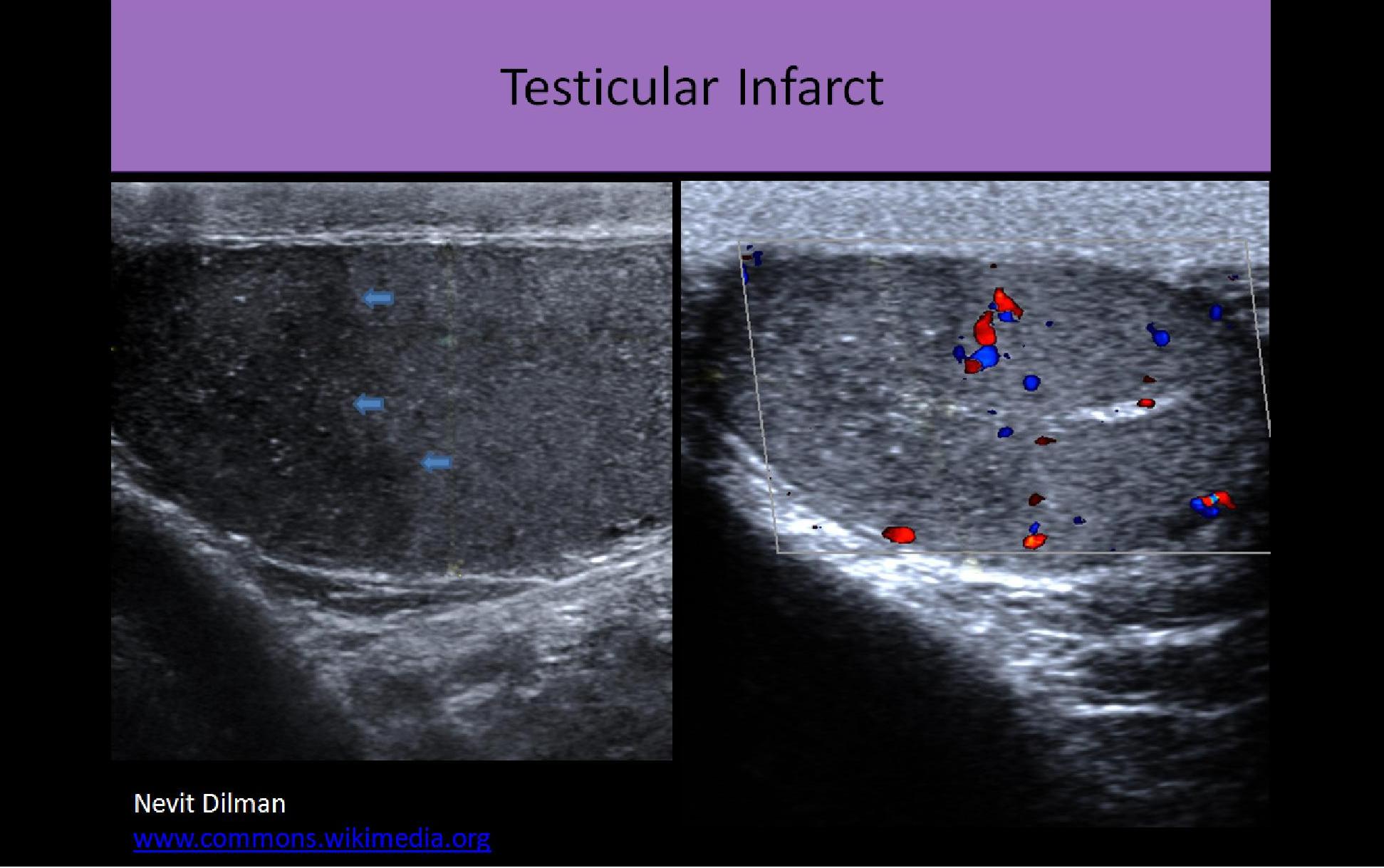 Slide Show Image 6
