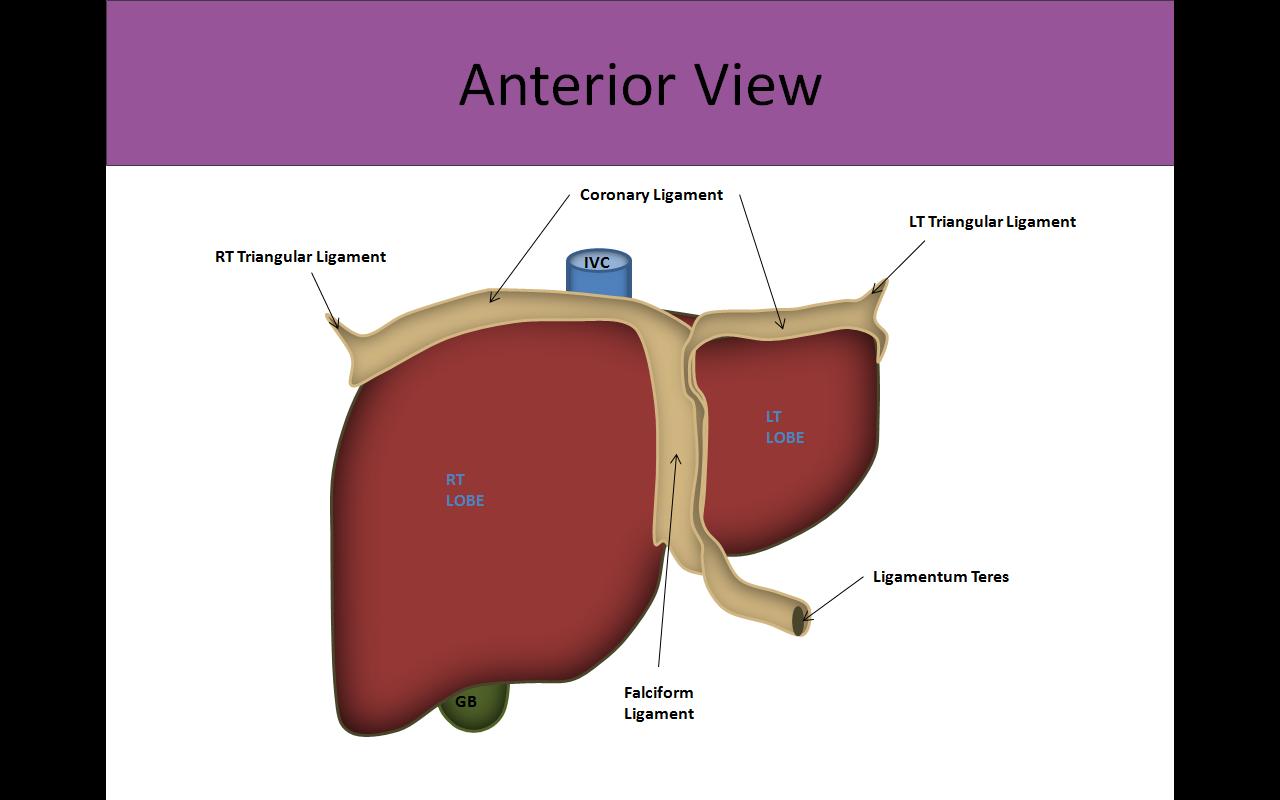 Slide Show Image 7