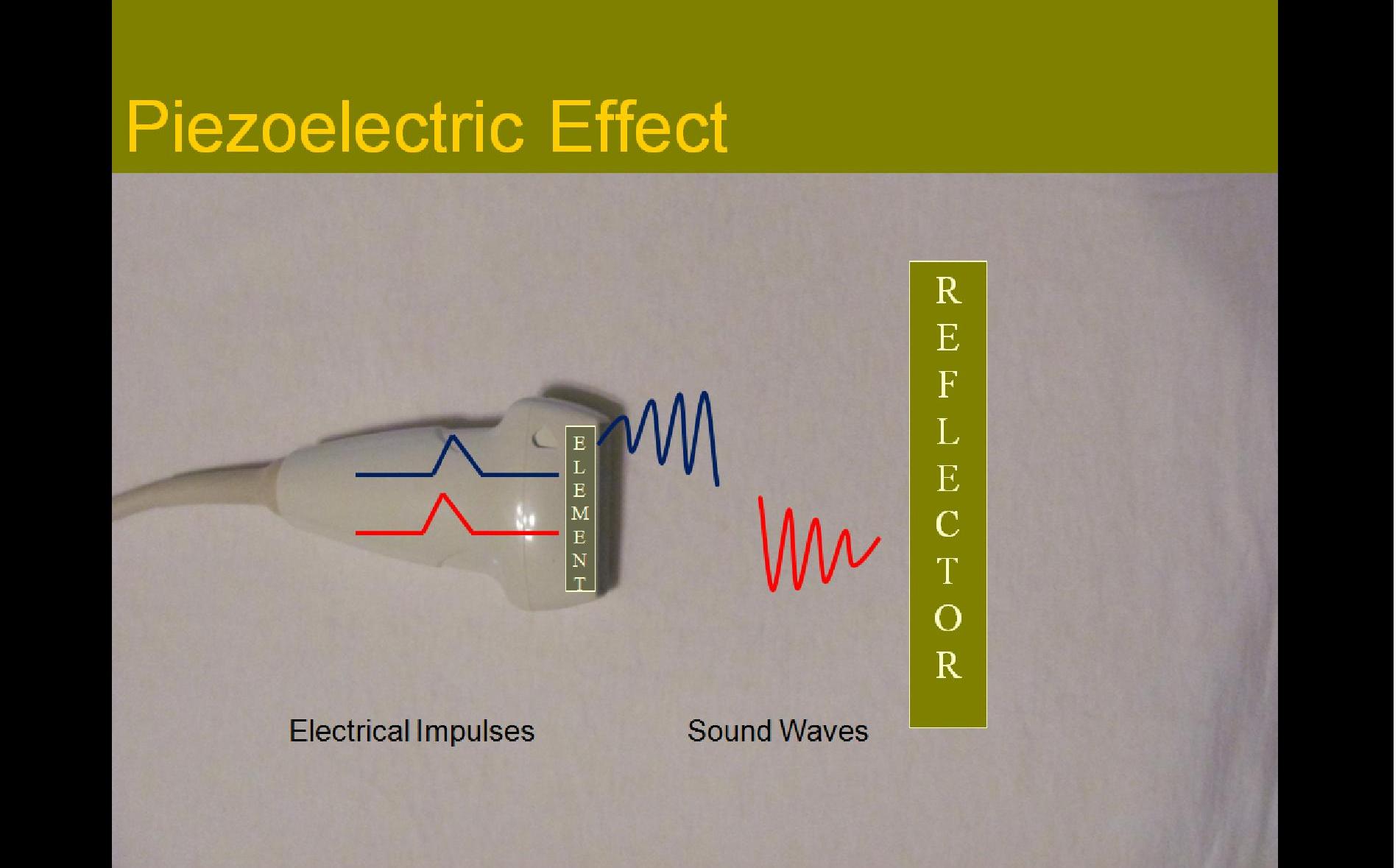 Slide Show Image 1