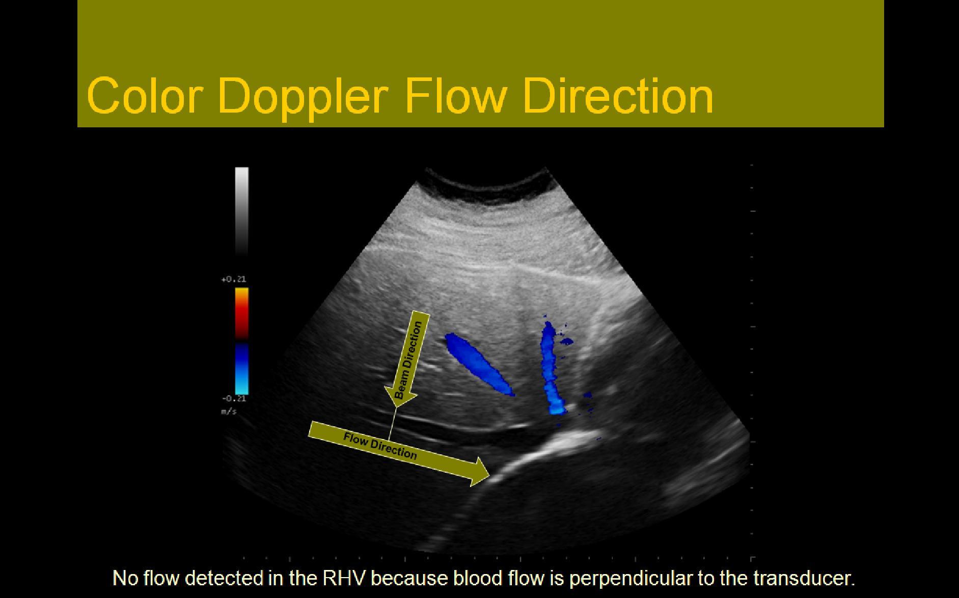 Slide Show Image 3