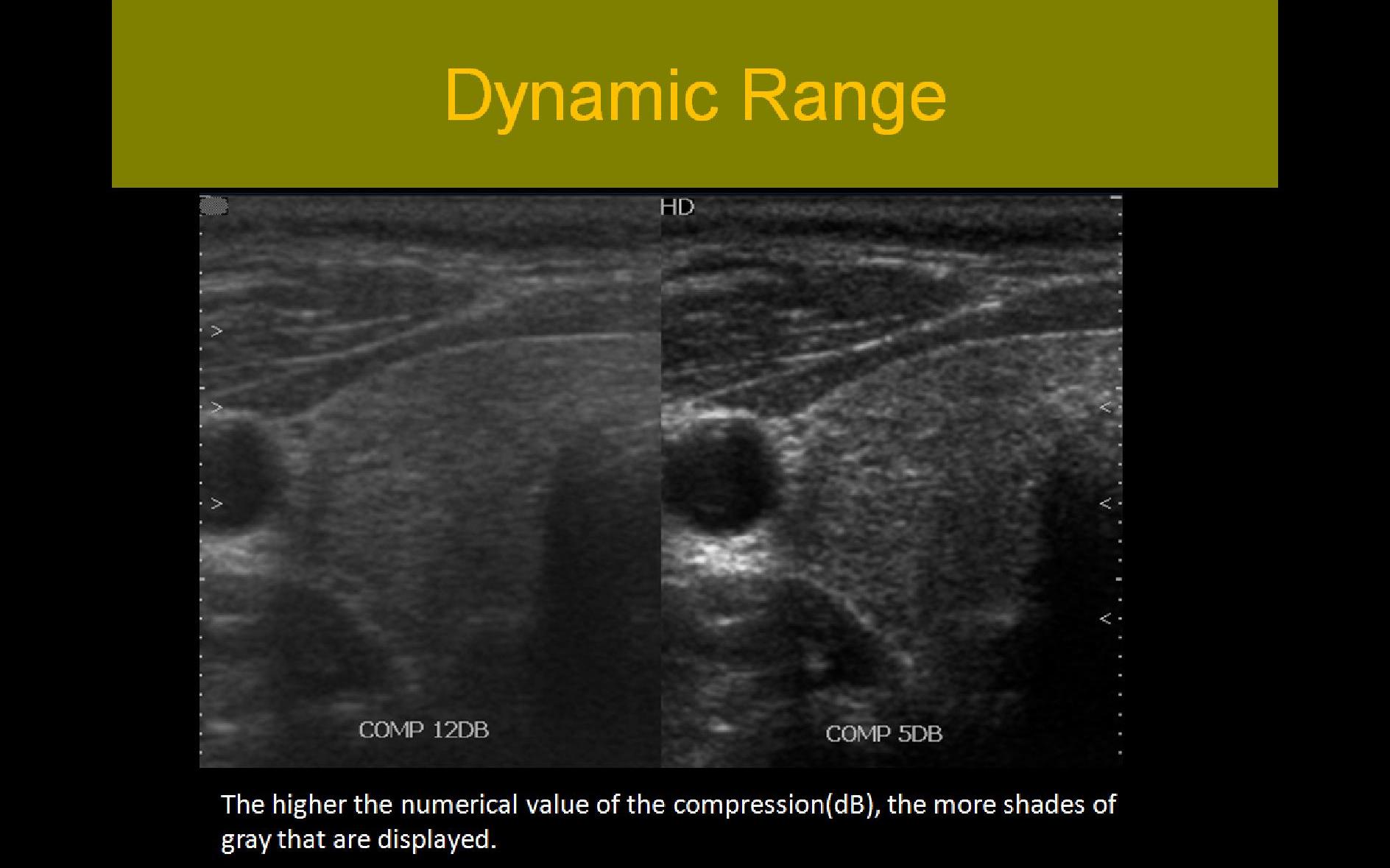 Slide Show Image 5