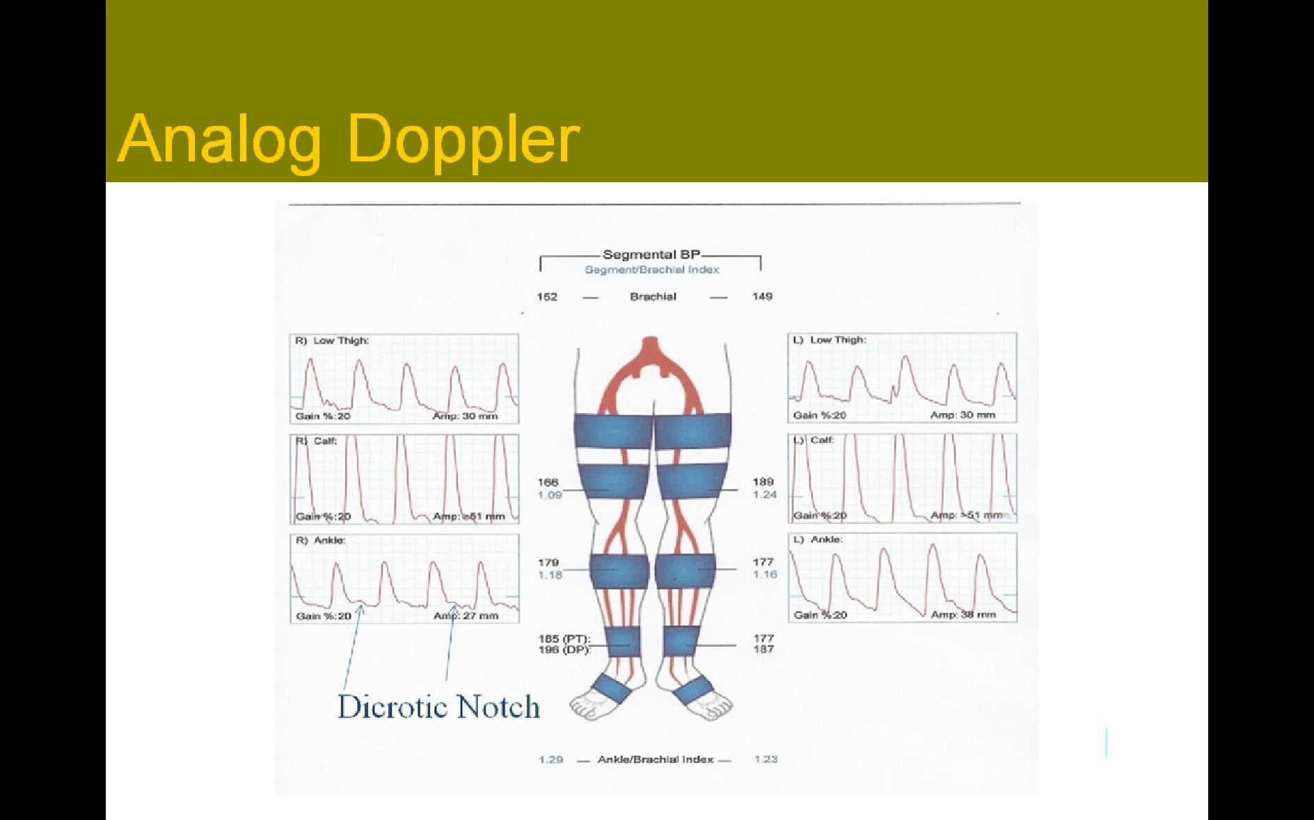 Slide Show Image 6